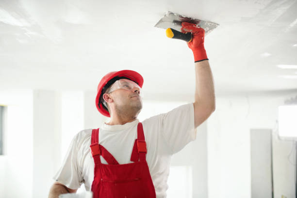 Best Trim and Molding Painting  in Hidalgo, TX